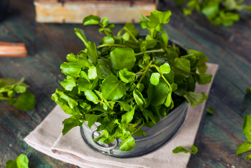 Giá Trị Dinh Dưỡng Vượt Trội